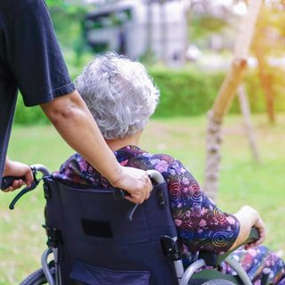 carer with wheel chair